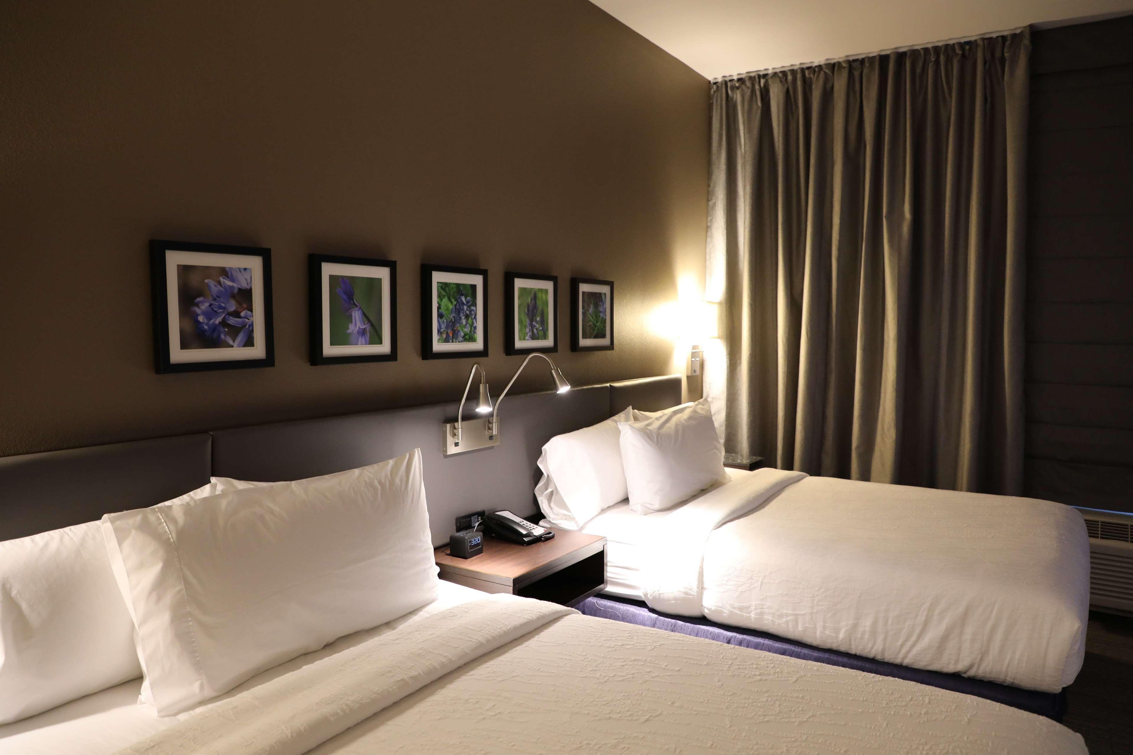 Hilton Garden Inn Austin Airport מראה חיצוני תמונה