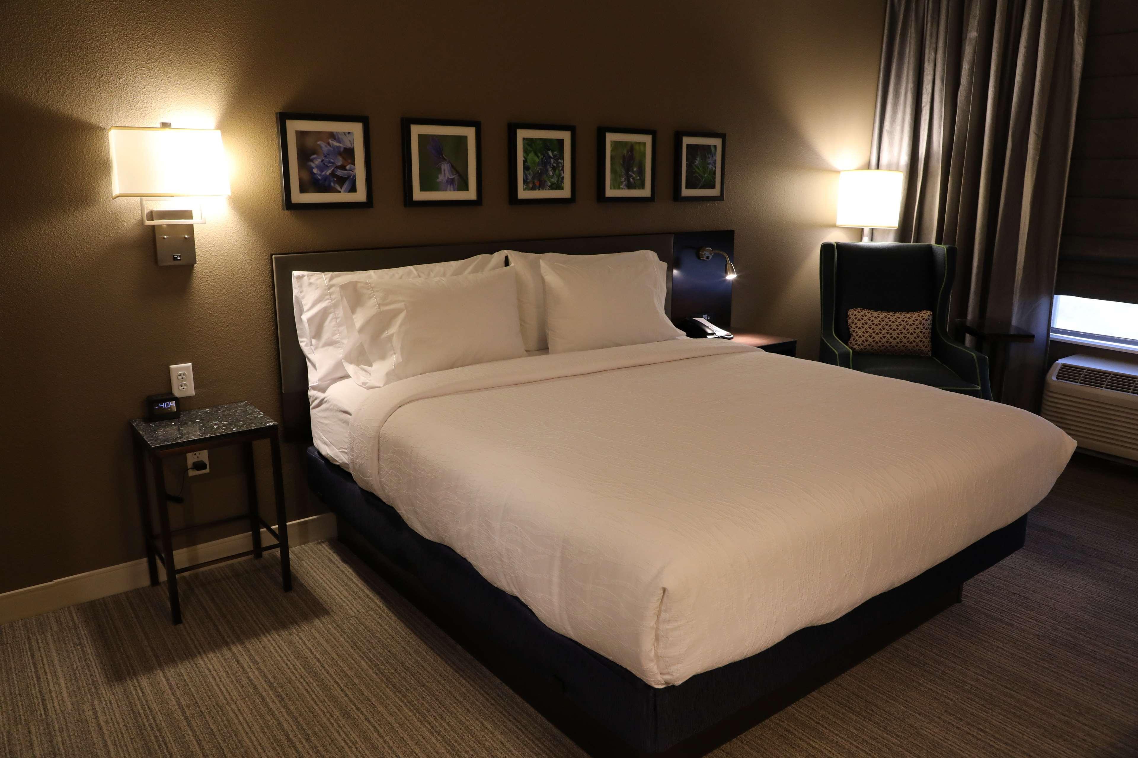 Hilton Garden Inn Austin Airport מראה חיצוני תמונה