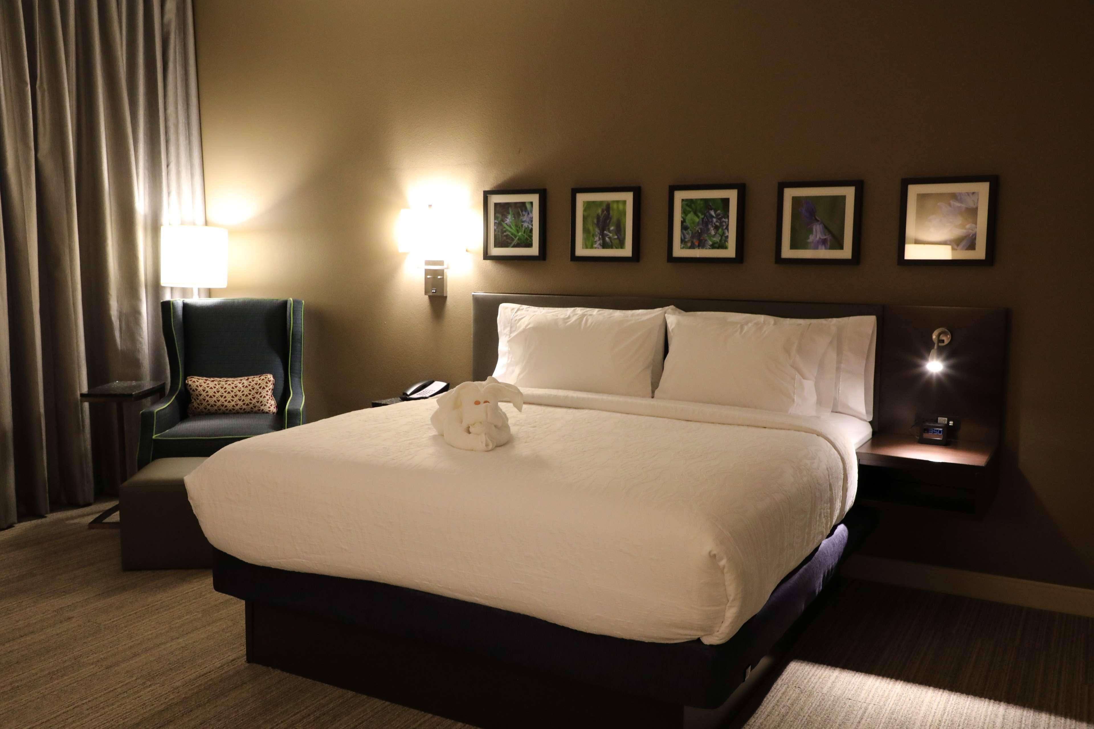 Hilton Garden Inn Austin Airport מראה חיצוני תמונה