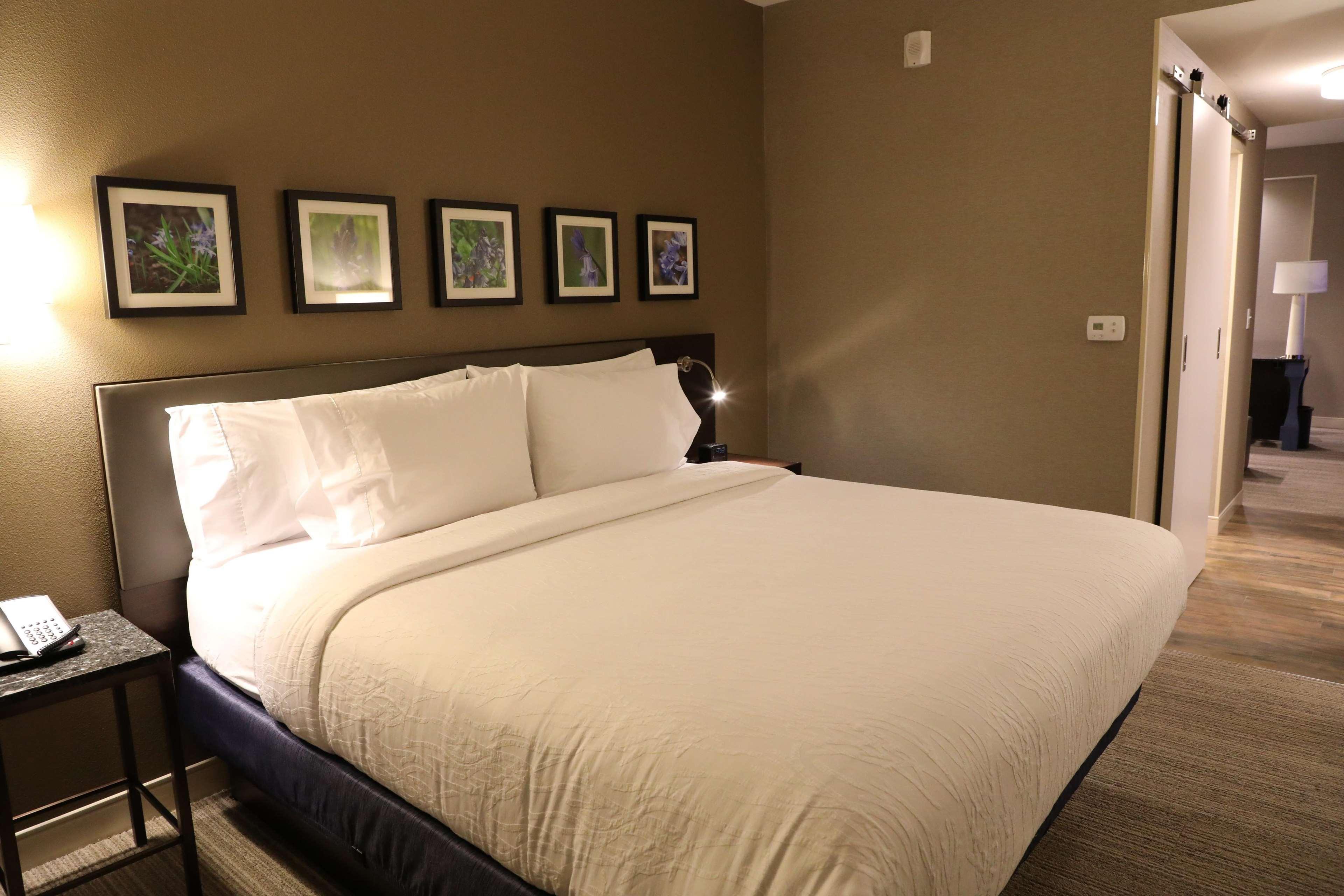 Hilton Garden Inn Austin Airport מראה חיצוני תמונה